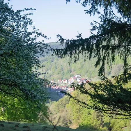 Spacious Holiday In Untersch Nau Near Forest *