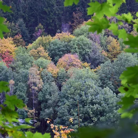 Σπίτι διακοπών Spacious Holiday In Untersch Nau Near Forest Unterschönau